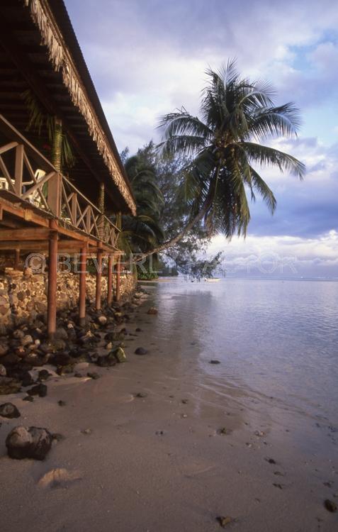 Islands;huts;ocean;palm trees;blue;water;sky;moorea;french polynesia